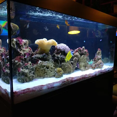 ホテル ルクソス 5*